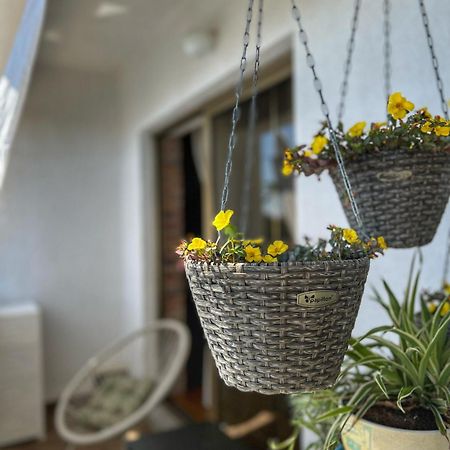 Apartmani Mia Palit Εξωτερικό φωτογραφία